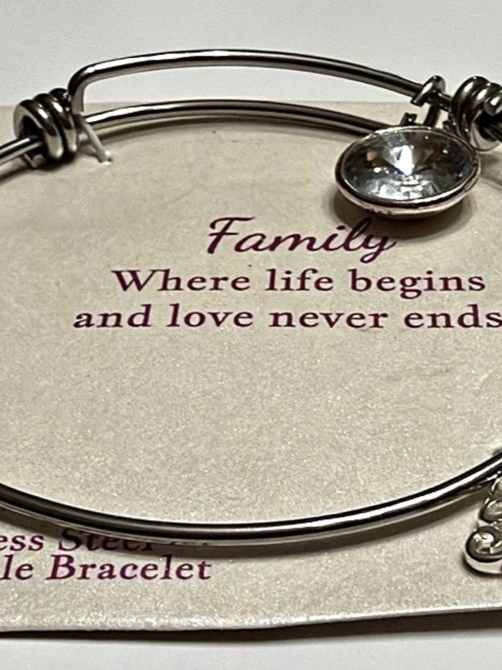 Family Expandable Bracelet in Silver NWT